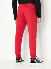 Штани Armani Exchange Lunar New Year модель 3RZPEB-ZJ1ZZ-1435 Фото