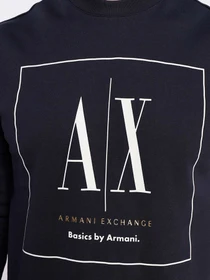 Худи и свитшоты Armani Exchange Basic by Armani модель 3RZMAB-ZJ83Z-1510 Фото