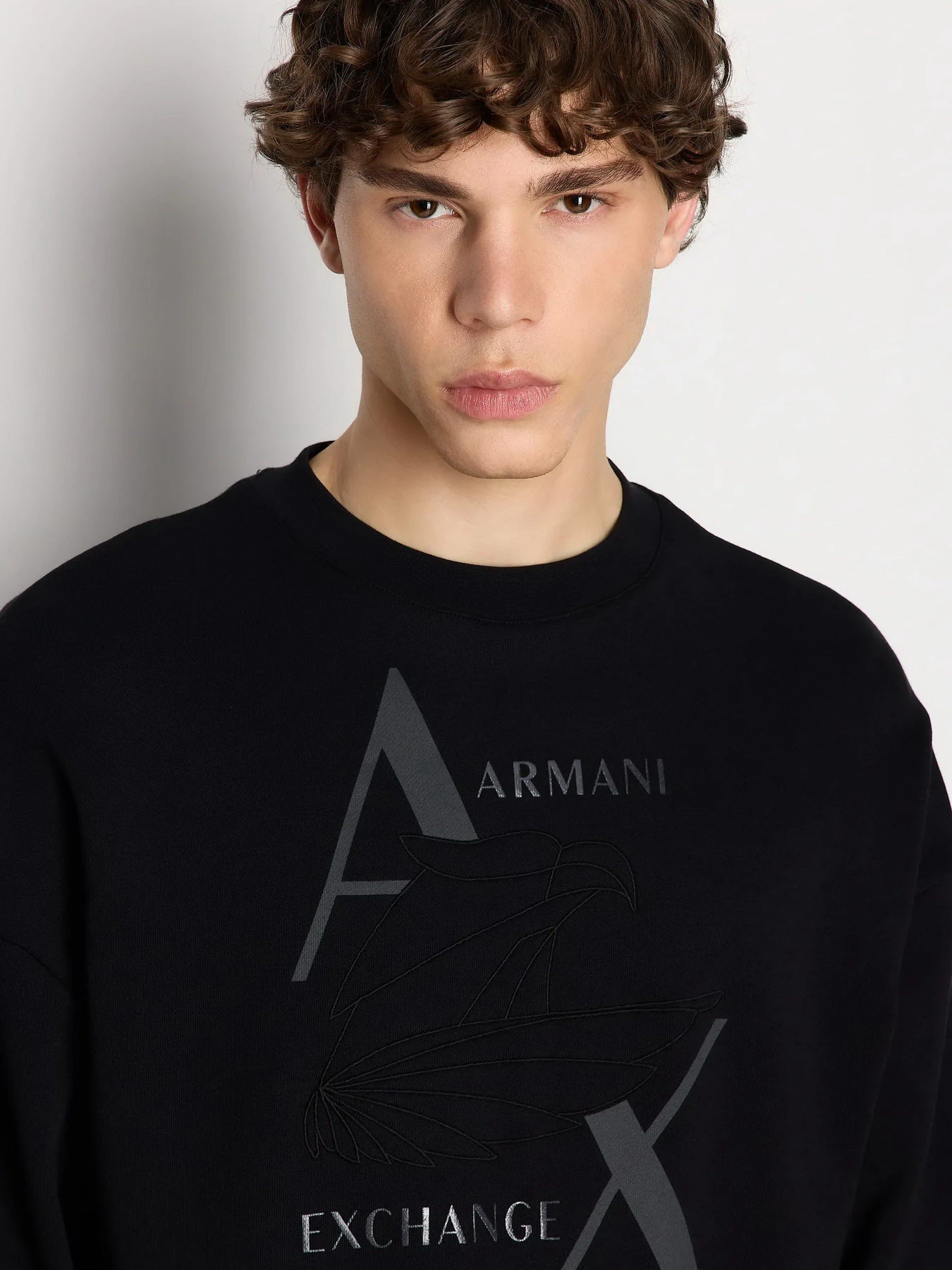 Худи и свитшоты Armani Exchange модель 6RZMAM-ZJ9KZ-1200 Фото