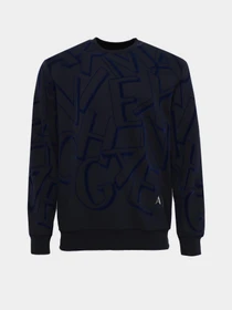 Худи и свитшоты Armani Exchange модель 6RZMBA-ZJBWZ-1510 Фото