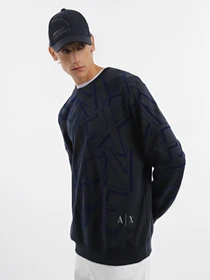 Худи и свитшоты Armani Exchange модель 6RZMBA-ZJBWZ-1510 Фото