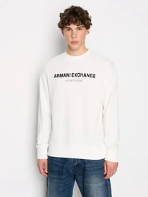 Худи и свитшоты Armani Exchange модель 6RZMHG-ZJDGZ-1116 Фото