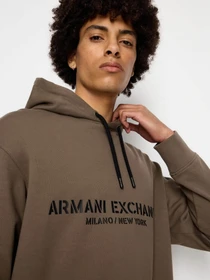 Худи и свитшоты Armani Exchange модель 6RZMLE-ZJ4XZ-1784 Фото