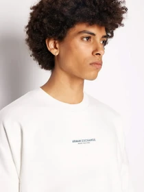 Худи и свитшоты Armani Exchange модель 6RZMLG-ZJ4XZ-91AE Фото