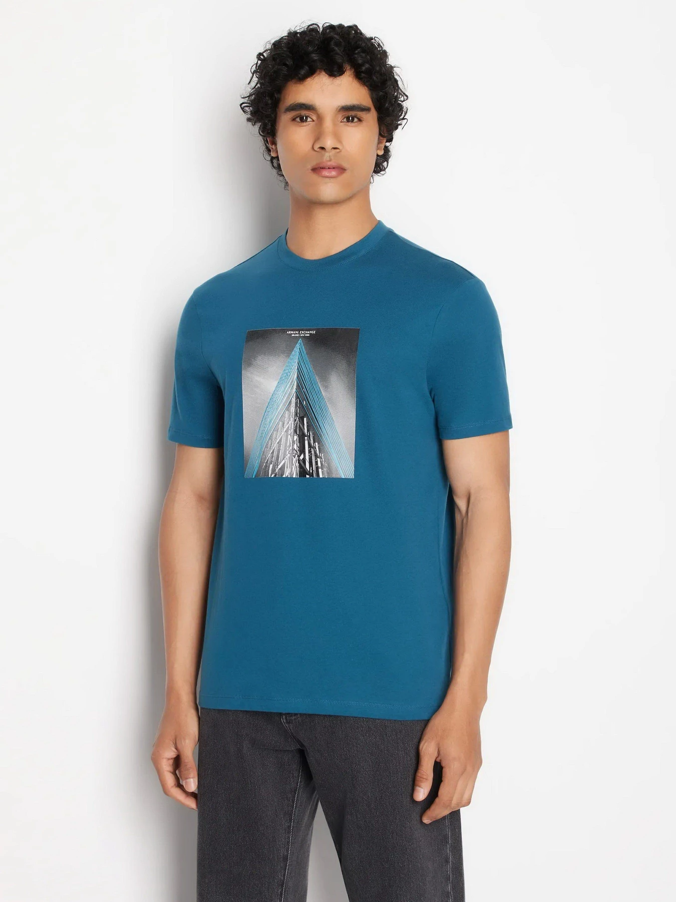 Футболки и поло Armani Exchange модель 6RZTLB-ZJBYZ-85CT Футболки и поло Armani Exchange модель 6RZTLB-ZJBYZ-85CT Фото