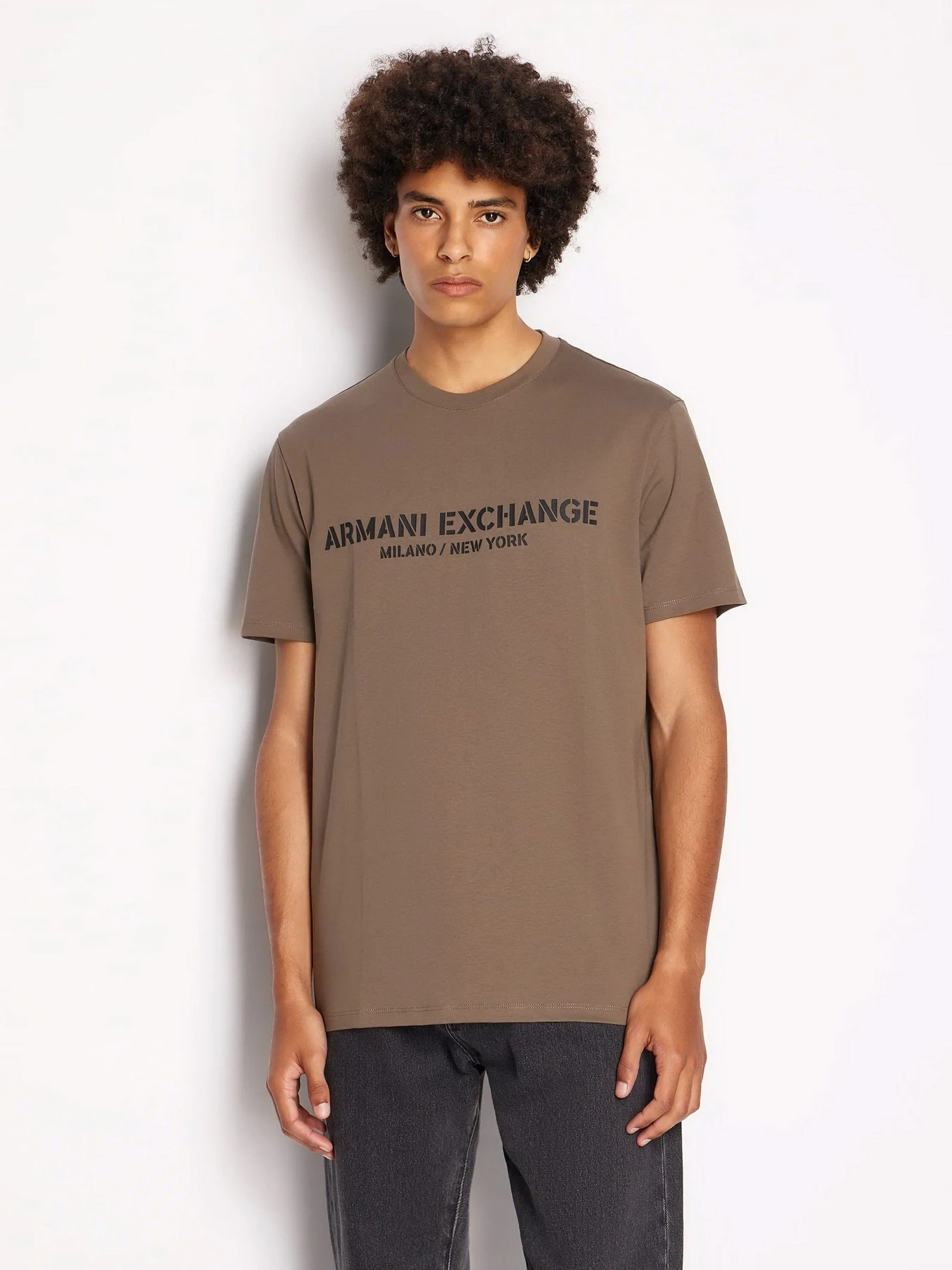 Футболки и поло Armani Exchange модель 6RZTLH-ZJ9JZ-1784 Фото