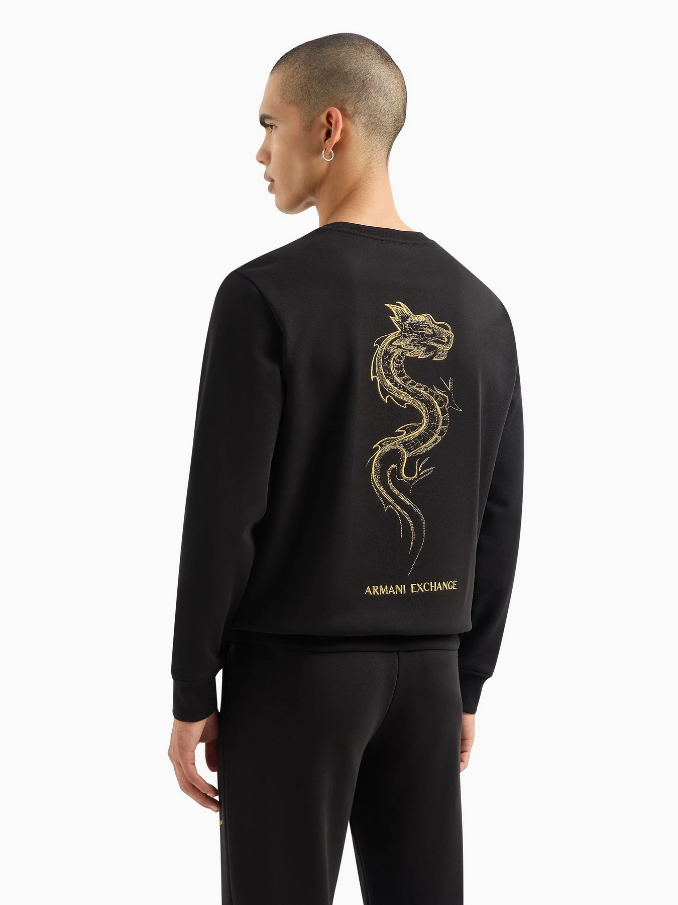 Худі та світшоти Armani Exchange Chinese New Year модель 3DZMDG-ZJ4XZ-1200 Худі та світшоти Armani Exchange Chinese New Year модель 3DZMDG-ZJ4XZ-1200 Фото