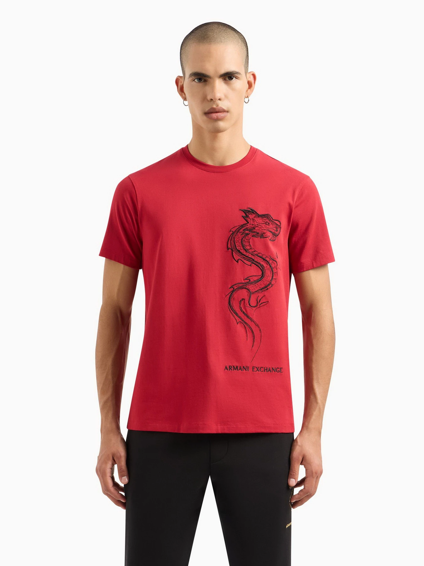 Футболки и поло Armani Exchange Chinese New Year модель 3DZTDD-ZJ9JZ-1435 Футболки и поло Armani Exchange Chinese New Year модель 3DZTDD-ZJ9JZ-1435 Фото