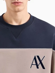 Худи и свитшоты Armani Exchange модель 6DZMJM-ZJZGZ-1510 Фото