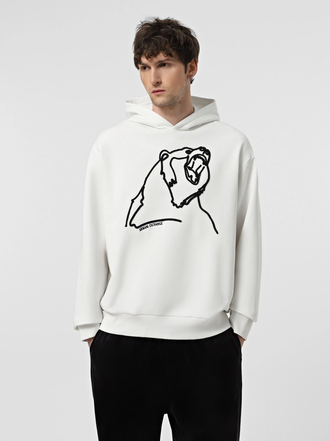 Худі та світшоти Armani Exchange модель XM000041-AF10858-M0015 Худі та світшоти Armani Exchange модель XM000041-AF10858-M0015 Фото