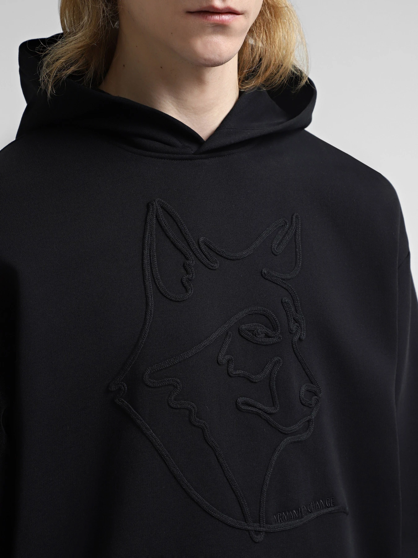 Худі та світшоти Armani Exchange модель XM000041-AF10858-MC004 Фото