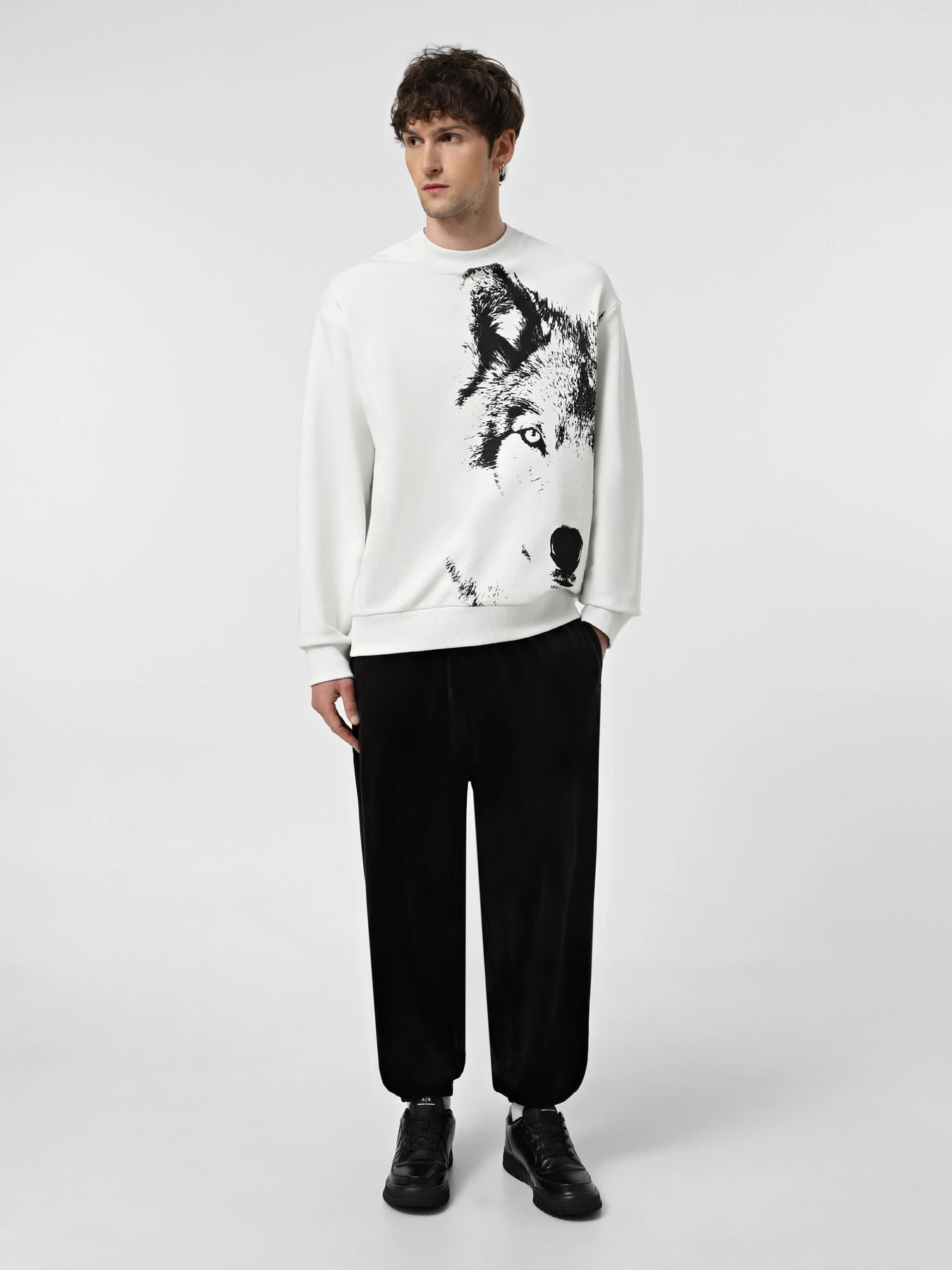 Худі та світшоти Armani Exchange модель XM000042-AF10858-M0012 Фото
