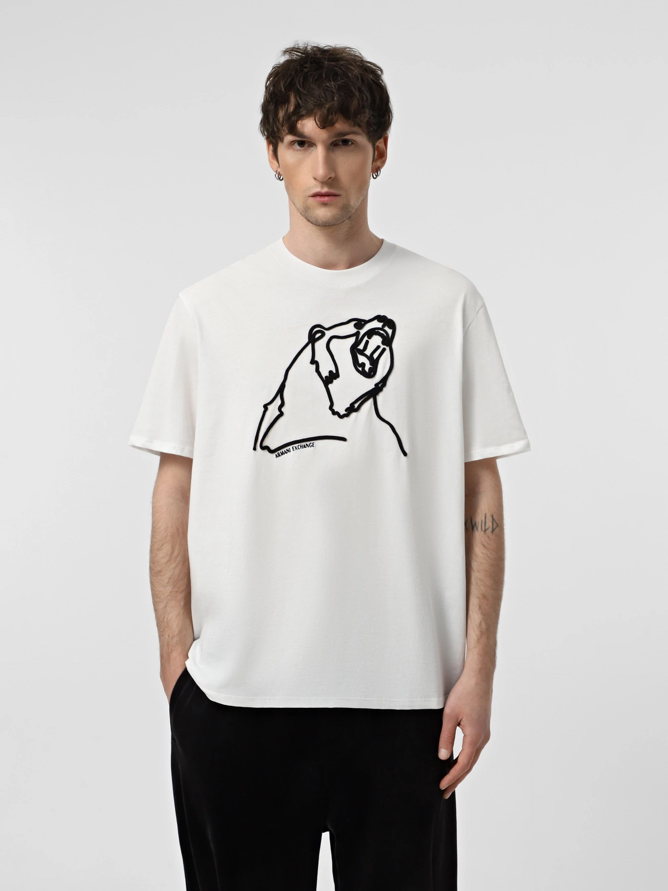 Футболки и поло Armani Exchange модель XM000044-AF10334-M0015 Футболки и поло Armani Exchange модель XM000044-AF10334-M0015 Фото
