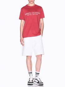 Шорты Armani Exchange модель XM000372-AF10818-U0009 Фото