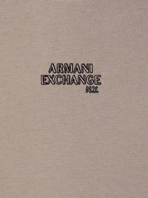 Футболки и поло Armani Exchange модель XM001784-AF10356-U6107 Фото