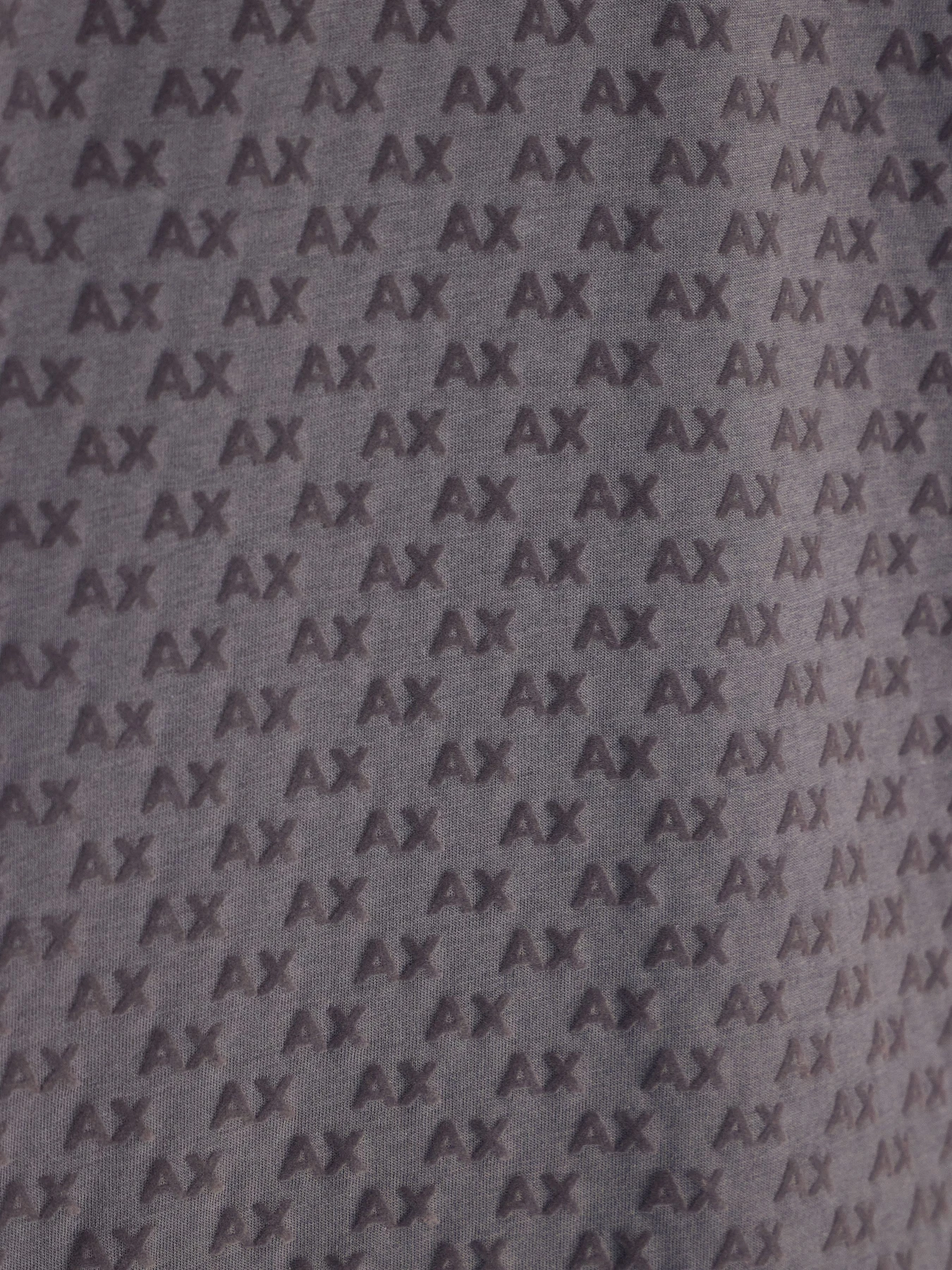 Футболки и поло Armani Exchange модель XM002905-AF10356-U6125 Фото