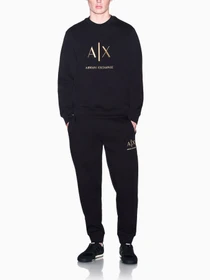 Худи и свитшоты Armani Exchange модель XM003551-AF20150-UC001 Фото