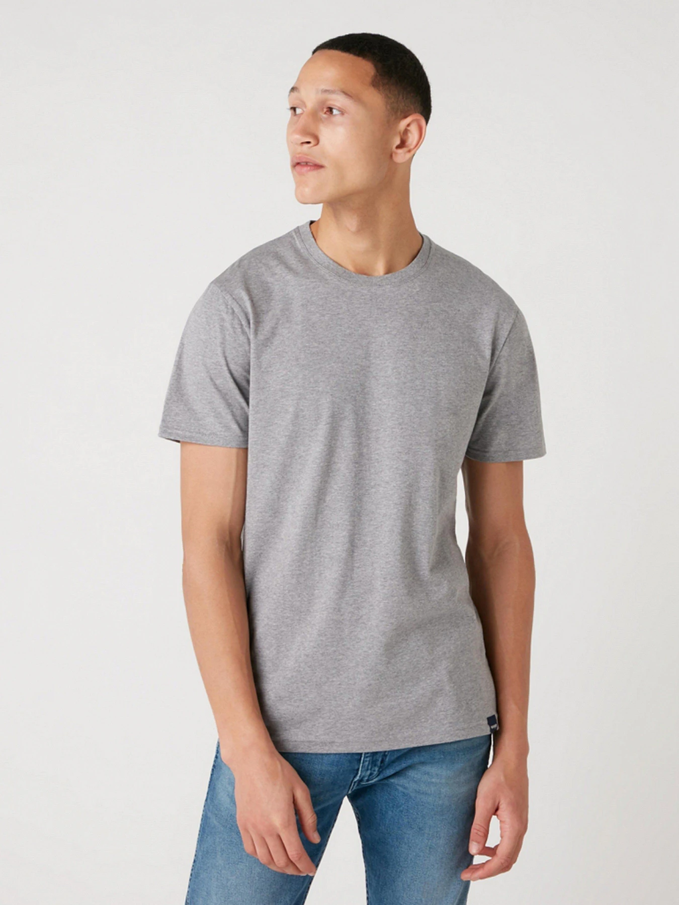Футболки и поло Wrangler 2 Pack Tee модель W7BADHX37 Футболки и поло Wrangler 2 Pack Tee модель W7BADHX37 Фото