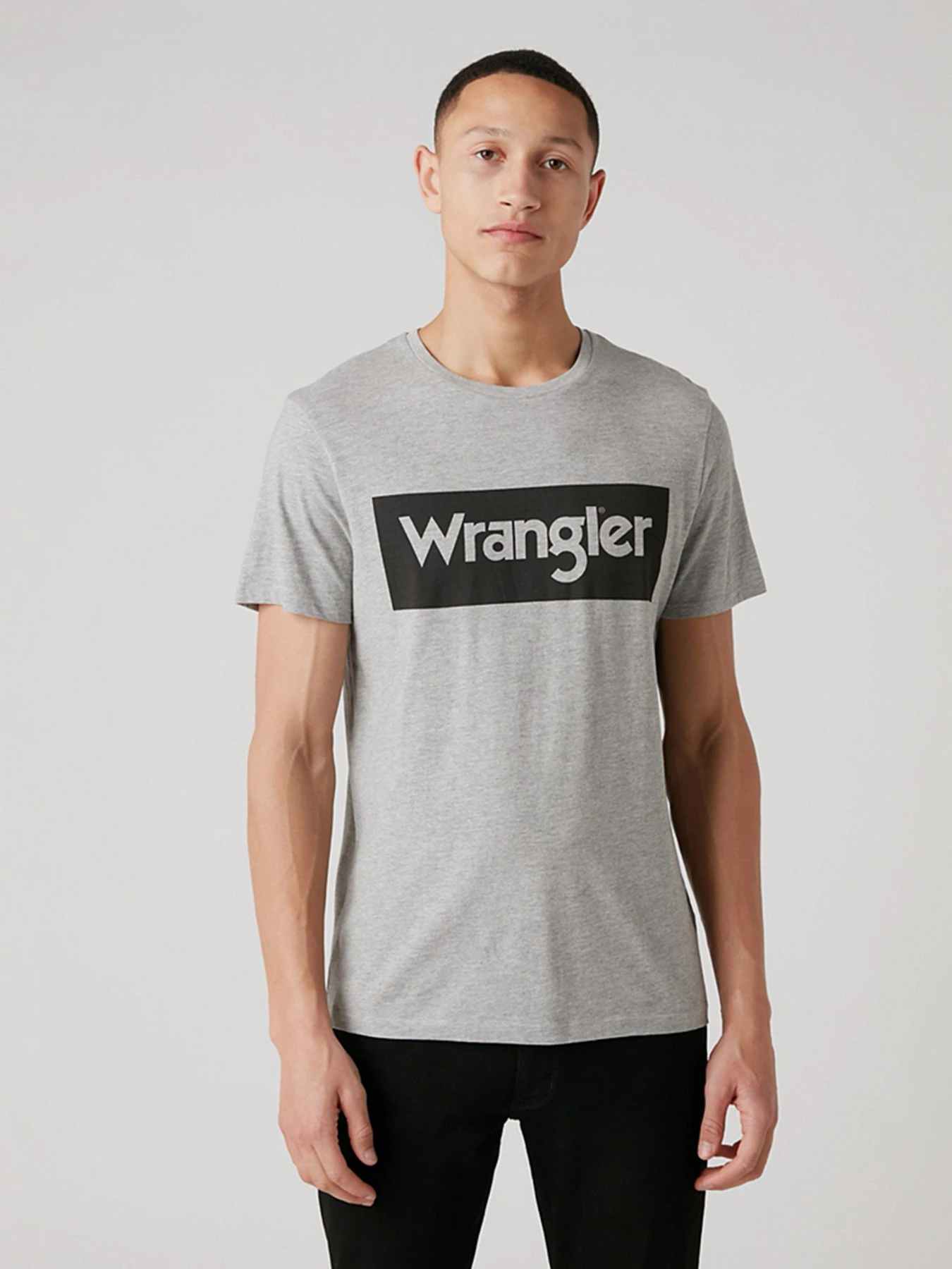 Футболки и поло Wrangler модель W742FKX37 Футболки и поло Wrangler модель W742FKX37 Фото
