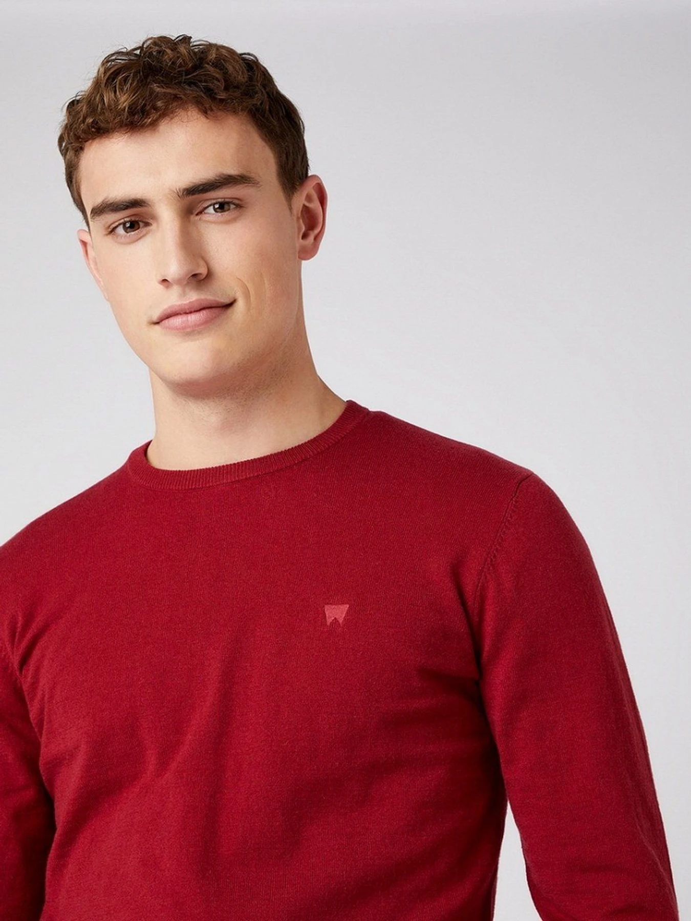Худи и свитшоты Wrangler модель W8A02PX2G Худи и свитшоты Wrangler модель W8A02PX2G Фото