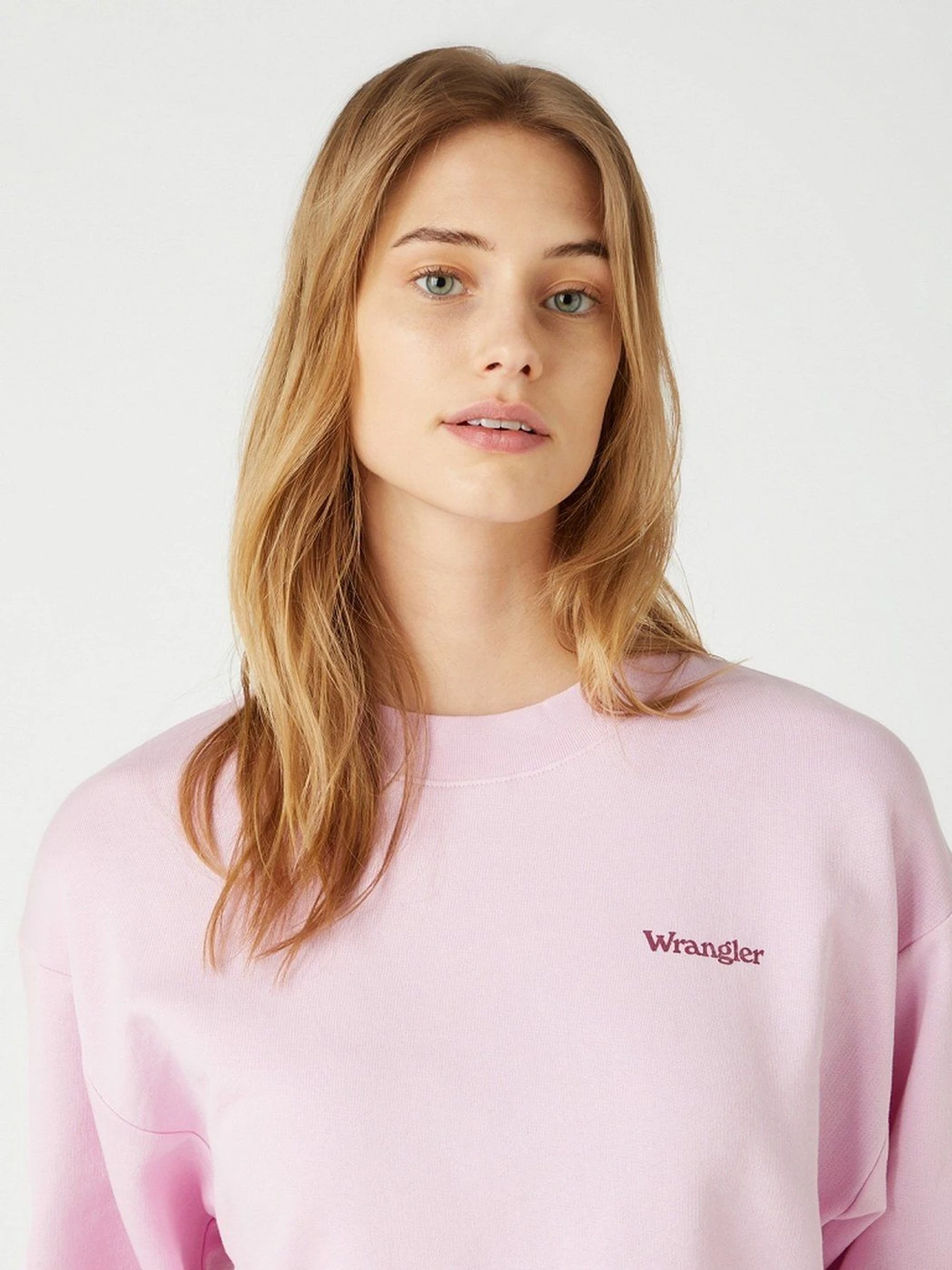Худи и свитшоты Wrangler модель W6N0HAP34 Худи и свитшоты Wrangler модель W6N0HAP34 Фото