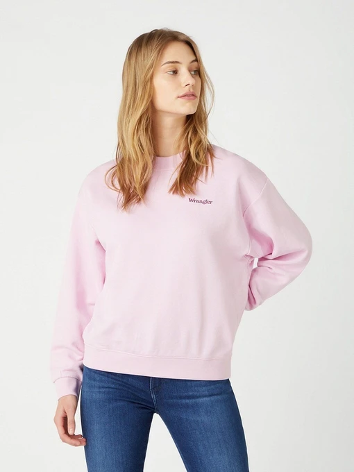 Худі та світшоти Wrangler модель W6N0HAP34 Фото