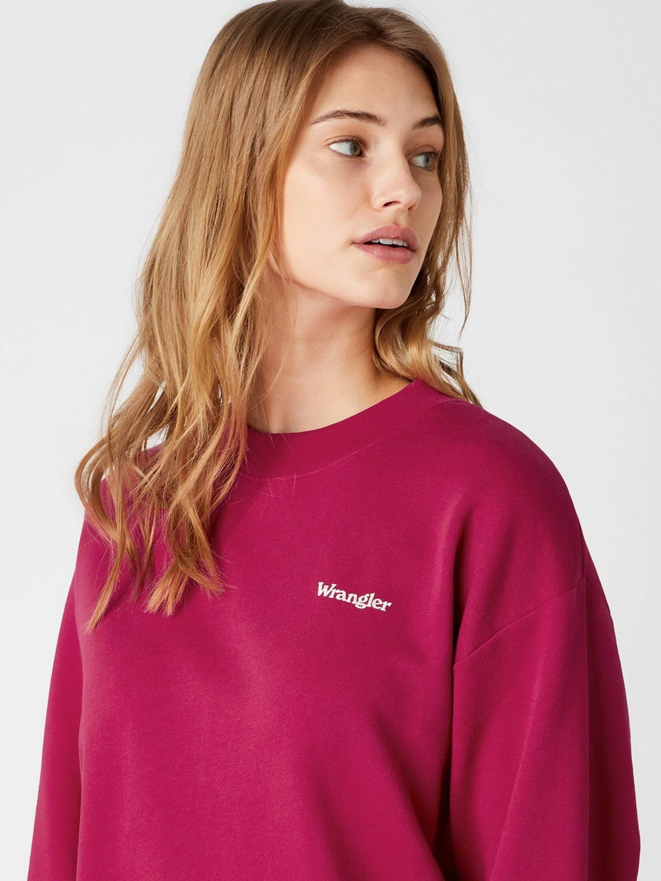 Худі та світшоти Wrangler модель W6N0HAR09 Худі та світшоти Wrangler модель W6N0HAR09 Фото