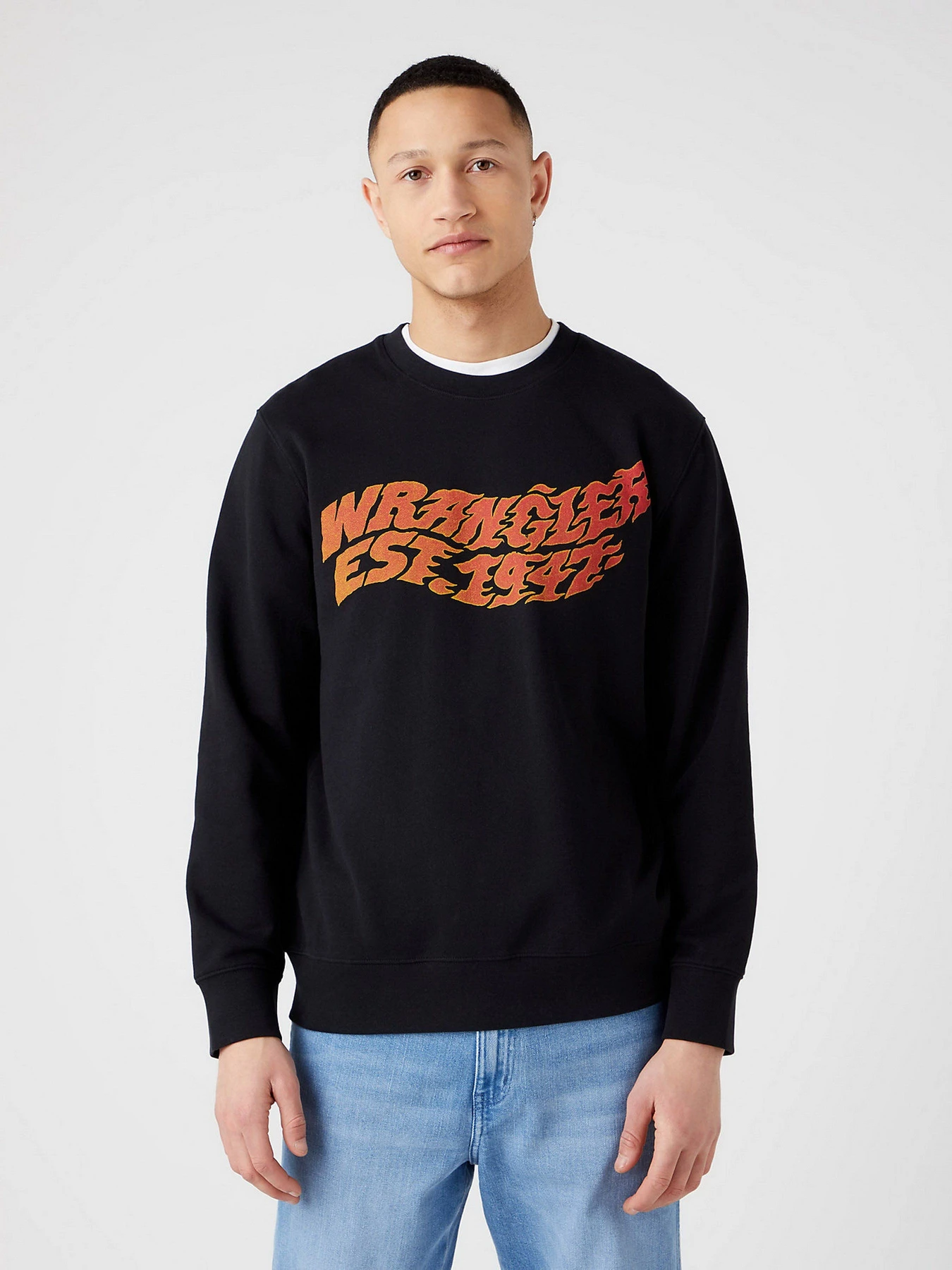 Худи и свитшоты Wrangler Graphic модель W6E9IL10000 Фото