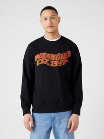 Худи и свитшоты Wrangler Graphic модель W6E9IL10000 Фото