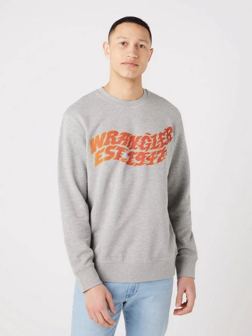 Худи и свитшоты Wrangler Graphic модель W6E9ILX3700 Фото