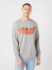 Худи и свитшоты Wrangler Graphic модель W6E9ILX3700 Фото
