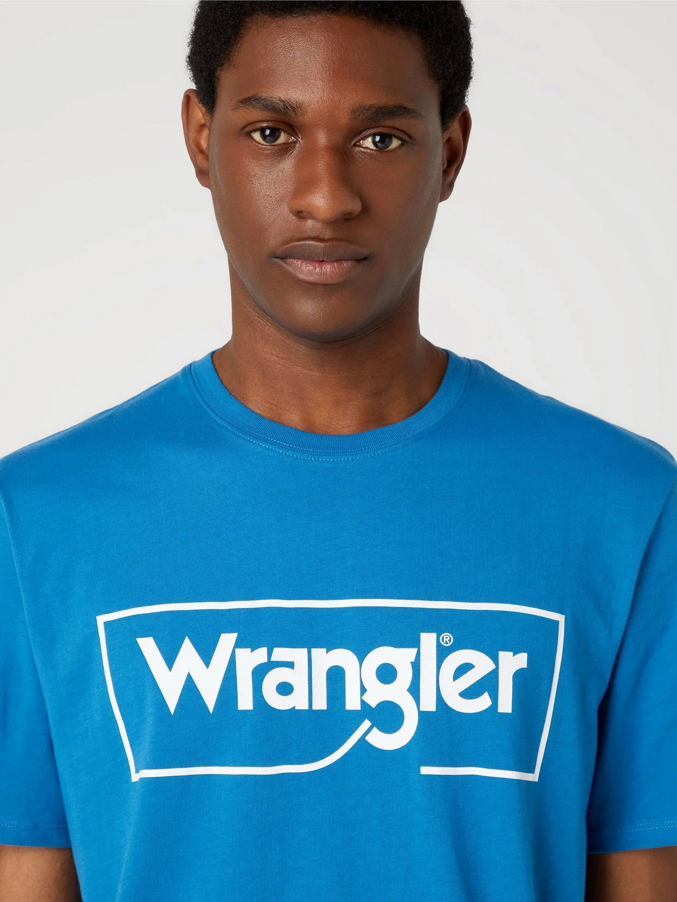 Футболки і поло Wrangler Frame Logo модель W70JD369F Футболки і поло Wrangler Frame Logo модель W70JD369F Фото