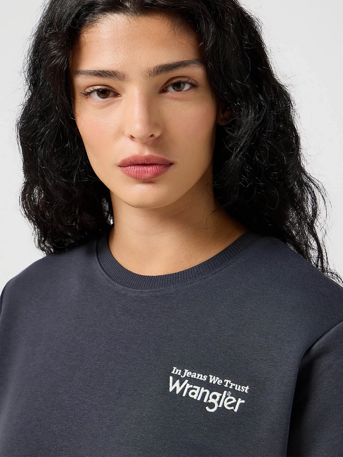 Худи и свитшоты Wrangler модель 112356510 Худи и свитшоты Wrangler модель 112356510 Фото