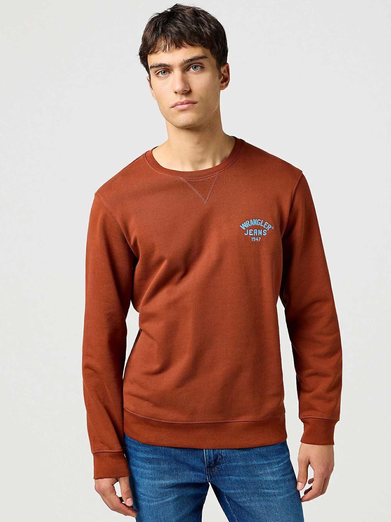 Худи и свитшоты Wrangler модель 112364093 Худи и свитшоты Wrangler модель 112364093 Фото