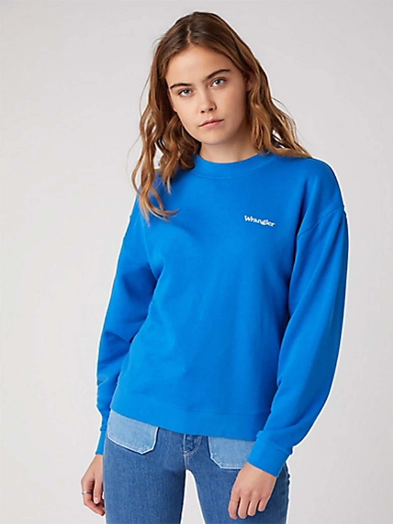 Худи и свитшоты Wrangler модель W6N0HAX2V Худи и свитшоты Wrangler модель W6N0HAX2V Фото