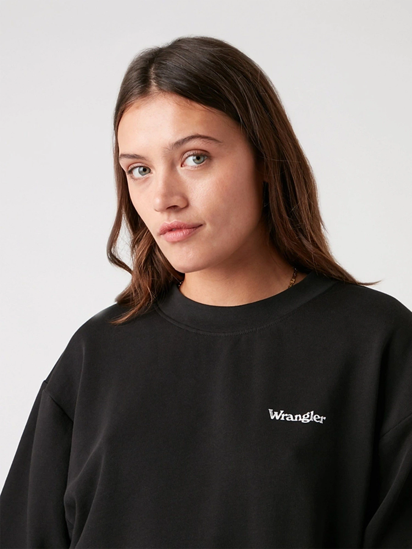 Худі та світшоти Wrangler Retro модель W6N0HAZ01 Худі та світшоти Wrangler Retro модель W6N0HAZ01 Фото