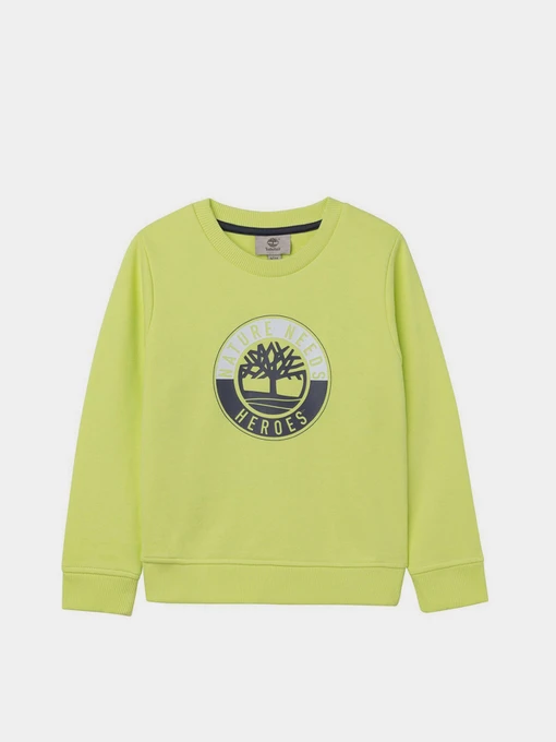 Худи и свитшоты Timberland Kids модель T25S09/60B Фото