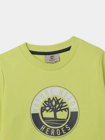Худи и свитшоты Timberland Kids модель T25S09/60B Фото