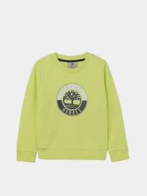 Худи и свитшоты Timberland Kids модель T25S09/60B Фото