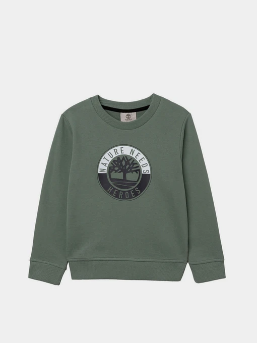 Худи и свитшоты Timberland Kids модель T25S09/708 Фото