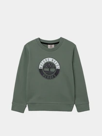 Худи и свитшоты Timberland Kids модель T25S09/708 Фото