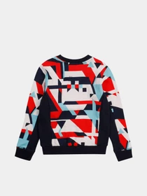 Худі та світшоти Timberland Kids модель T25S11/Z41 Фото