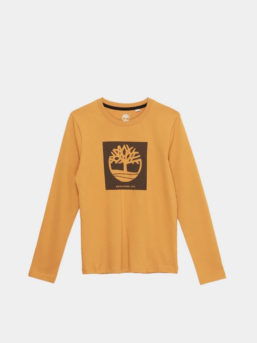 Худи и свитшоты Timberland Kids модель T25S37/589 Фото