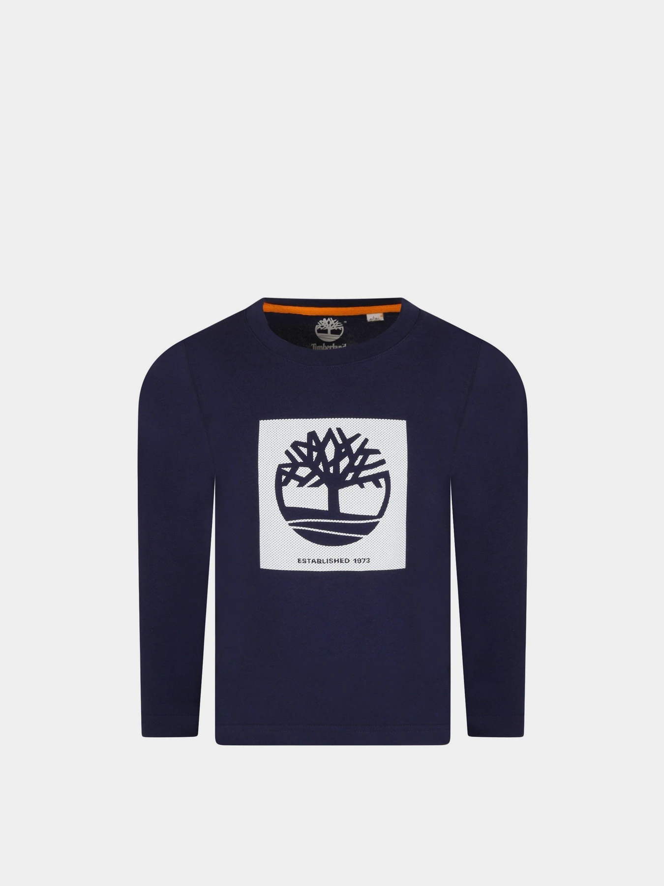 Худи и свитшоты Timberland Kids модель T25S37/85T Фото