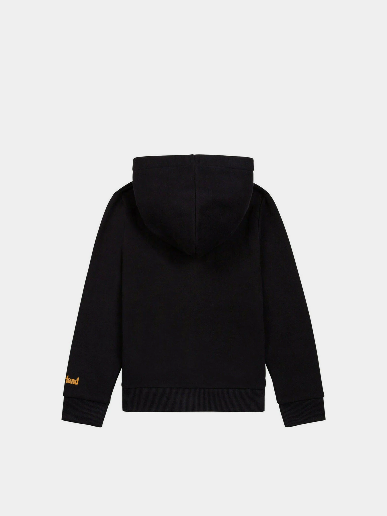 Худи и свитшоты Timberland Kids BAALON модель T25S76/09B Фото