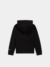 Худи и свитшоты Timberland Kids BAALON модель T25S76/09B Фото