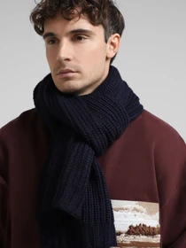 Шарфы и платки Armani Exchange модель 954602-4F302-00035 Фото