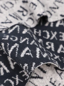 Шарфы и платки Armani Exchange модель 954650-CC310-00048 Фото