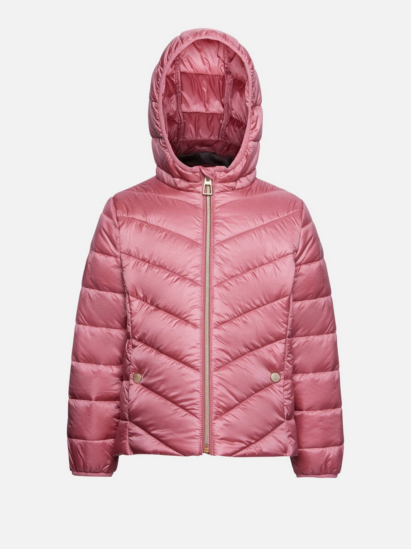 Куртки и дубленки Geox Agata модель K1420B-T2562-F8697 Куртки и дубленки Geox Agata модель K1420B-T2562-F8697 Фото
