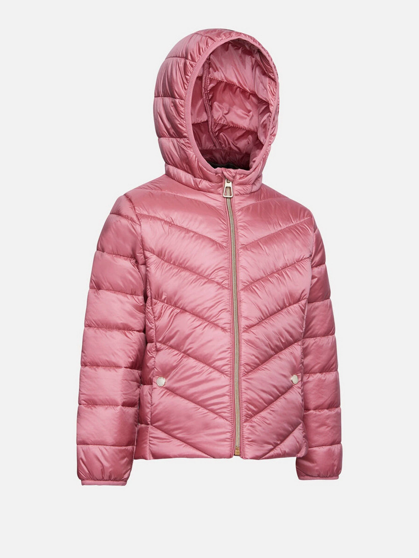 Куртки и дубленки Geox Agata модель K1420B-T2562-F8697 Куртки и дубленки Geox Agata модель K1420B-T2562-F8697 Фото